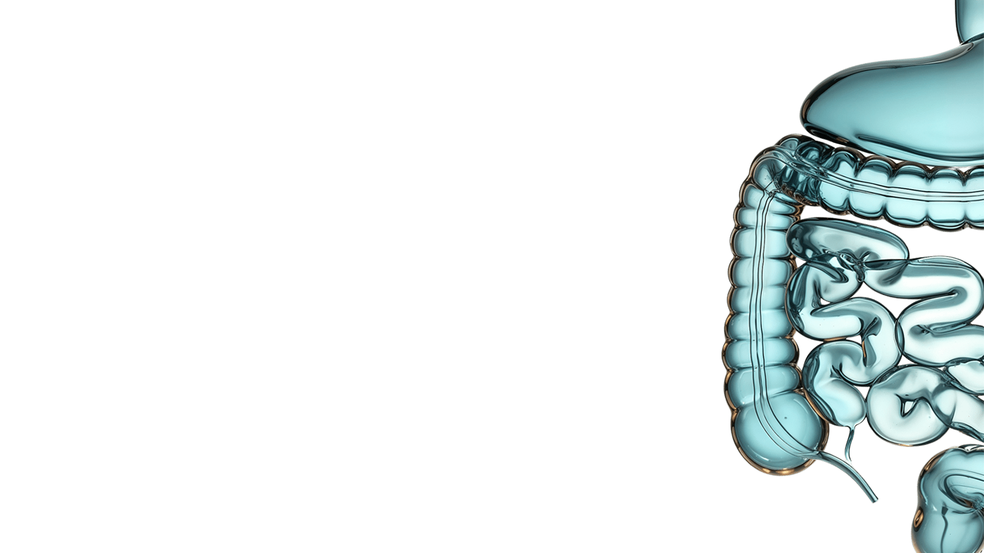 تصميم بدون عنوان (38)